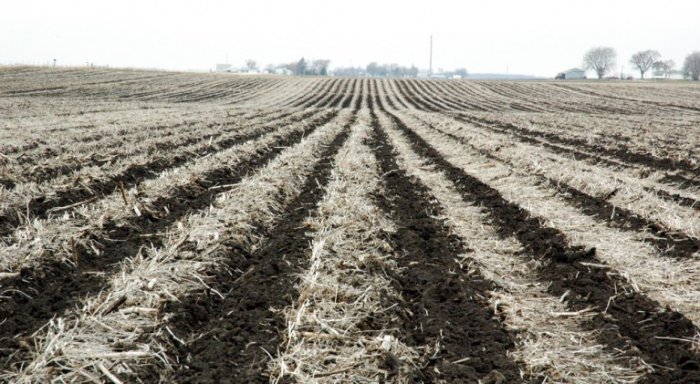 Технология Strip-Till. История возникновения.